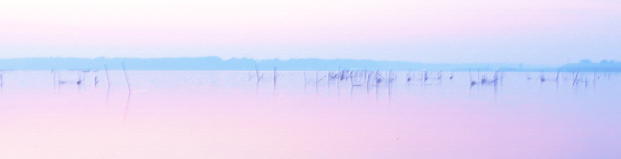 privacypolicyの背景画像